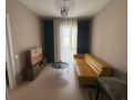 apartament-me-qera-11-tek-rruga-dritan-hoxha-id-b2101169-tirane-small-0