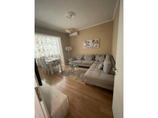 Apartament me qera 1+1 tek Mine Peza (ID B211356) Tirane