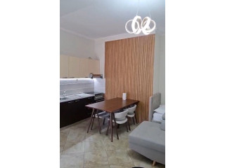 Vile me qera 1+1 ne Vasil Shanto (ID BV22461) Tirane.