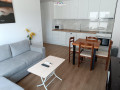apartament-me-qera-21-ne-ali-demi-small-0