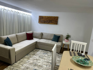 Apartament 1+1 duplex me qera tek Komuna e Parisit (ID B2101177) Tirane