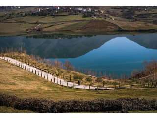 Shitet Toke Truall Ne Farke (ID BT78) Tirane