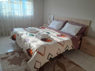 Apartament Me Qera 2+1 Ne Vasil Shanto (ID B221337) Tirane