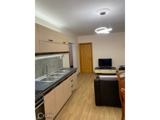 Apartament me qera 2+1 Tek Mine Peza ( B221338) Tirane