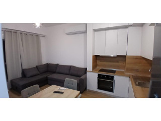 Apartament Me Qera 1+1 Tek Ali Demi (ID B2101194) Tirane