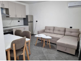 Vile Me Qera 2+1 Tek Riza Cerova (ID BV22468) Tirane
