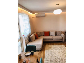 Apartament me qera 1+1 tek Mine Peza (ID B211368) Tirane