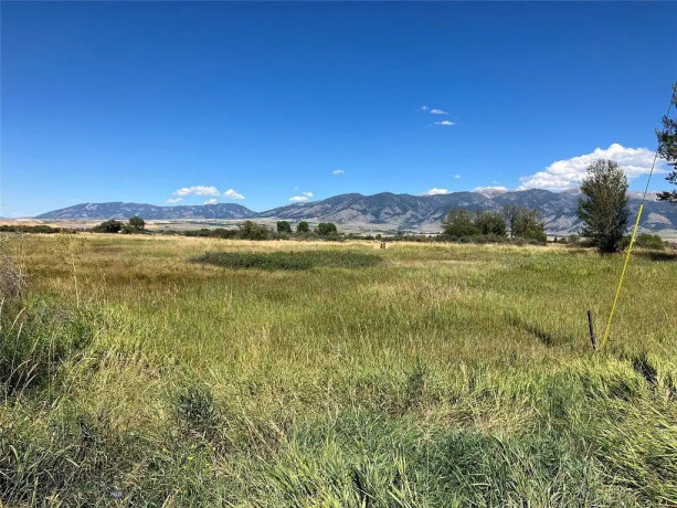 shitet-toke-are-ne-autostraden-tirane-durres-id-bt82-tirane-big-0