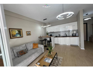 Apartament Me Qera 1+1 prane Shkolles se Baletit (ID B2101212) Tirane