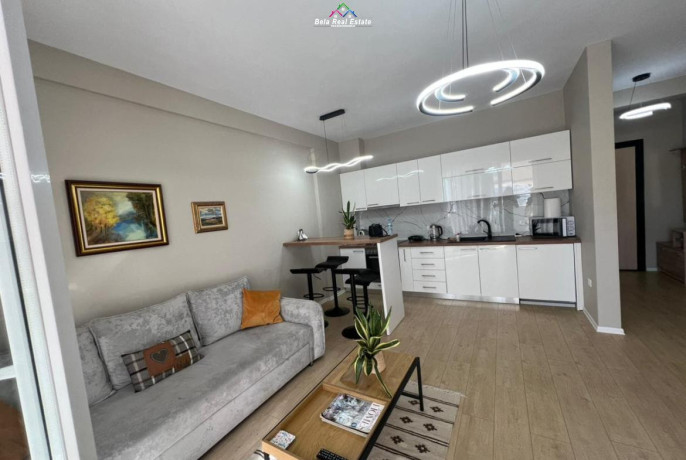 apartament-me-qera-11-prane-shkolles-se-baletit-id-b2101212-tirane-big-0