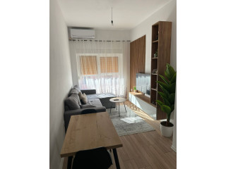 Apartament Me Qera 1+1 Ne Ali Dem (ID B2101213) Tirane