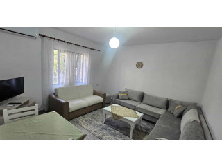 Vile Me Qera 1+1 Tek Ish-Parku i Autobuzave (ID BV22472) Tirane