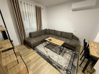 Vile Me Qera 1+1 ne Yzberisht (ID BV22473) Tirane