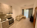 apartament-me-qera-11-ne-selite-id-b2101220-tirane-small-0