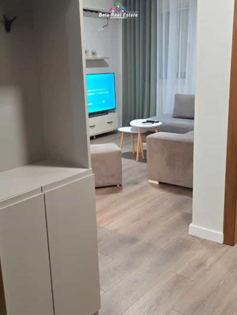 apartament-me-qra-11-ne-vasil-shanto-id-b211378-tirane-big-1