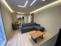apartament-me-qera-11-ne-shkoze-id-b210410-tirane-small-0