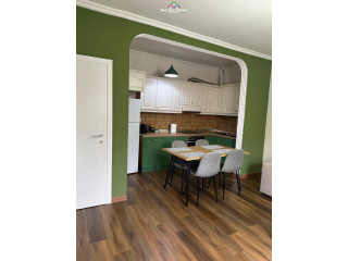 Apartament Me Qera 2+1 Prane Sheshit Willson (ID B221359) Tirane