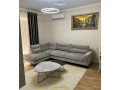 apartament-me-qera-21-tek-rruga-elbasanit-id-b220394-tirane-small-0