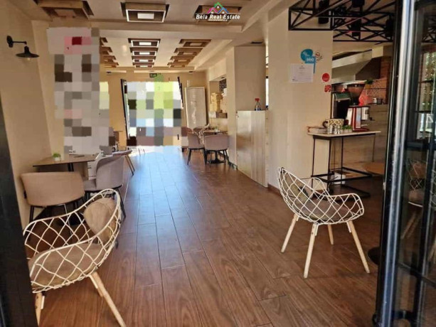 shitet-biznes-fast-food-piceri-kreperi-tek-rruga-e-dibres-id-bshb161-tirane-big-0