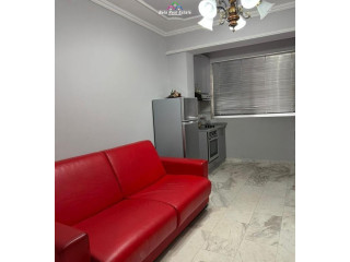 Apartament Me Qera 1+1 Vasil Shanto (ID B211389) Tirane