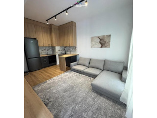 Apartament Me Qera 1+1 Ne Ali Dem (ID B2101323) Tirane