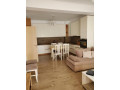 jepet-me-qera-apartament-21-perballe-amerikan-3-id-b220596-tirane-small-1