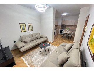 Apartament Me Qera 1+1 Tek Sheshi Willson (ID B2101341) Tirane