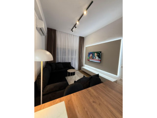 Apartament Me Qera 1+1 Tek Ali Demi (ID B2101344) Tirane