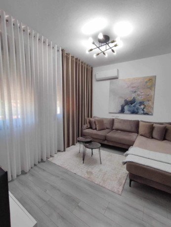 apartament-me-qera-11-prane-amerikan-3-id-b210256-tirane-big-0