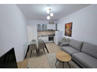 Apartament Me Qera 1+1 Tek Ish Ekspozita (ID B2101346) Tirane