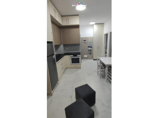 Apartament me Qera 1+1 Ne Fresk (ID B2101355) Tirane