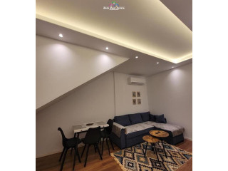 Vile Me Qera 1+1 Tek Rruga e Durresit (ID BV22526) Tirane