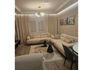 Apartament Me Qera 2+1 Tek Ish Dogana (ID B2201611) Tirane
