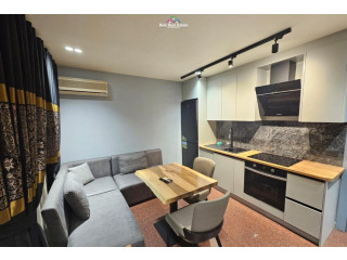 Apartament Me Qera 1+1 Ne Qender (ID B211397) Tirane