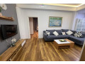 apartament-me-qera-11-ne-bllok-qera-small-0