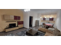 jepet-me-qera-apartament-21-ne-fresk-id-b220598-tirane-small-0