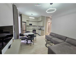 Apartament me Qera 1+1 tek River Residence Astir (ID B210944) Tirane