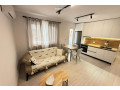 apartament-me-qera-11-tek-rruga-e-elbasanit-id-b211404-tirane-small-0