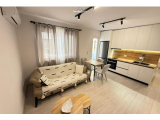 Apartament Me Qera 1+1 Tek Rruga e Elbasanit (ID B211404) Tirane