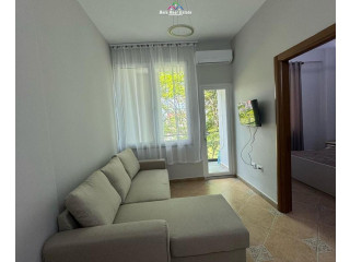 Apartament Me Qera 1+1 Tek Vilat Gjermane (ID B2101398) Tirane