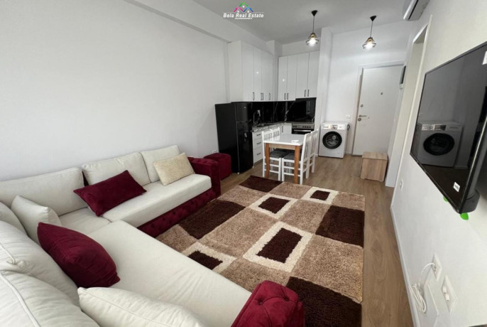 apartament-me-qera-11-ne-ali-demqera-big-0