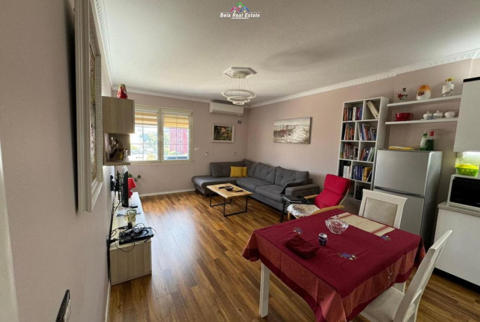 apartament-me-qera-11-tek-rruga-e-elbasanit-id-b2101405-tirane-big-0