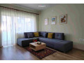 apartament-me-qera-11-ne-qender-id-b211405-tirane-small-0