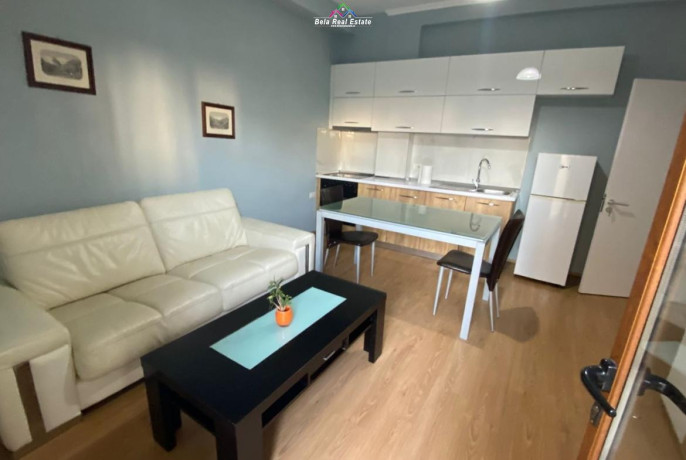 kat-vile-me-qera-11-ne-ali-demiqeraqera-big-0