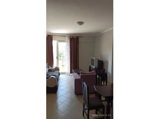 Apartament 1+1 Me Qera Perballe Delijorgjit (ID B210405) Tirane