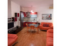 apartament-me-qera-11-tek-21-dhjetori-id-b210366-tirane-small-0