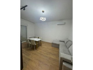 Vile me Qera 1+1 Ne Shkoze (ID BV22554) Tirane