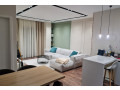 apartament-me-qera-11-ne-misto-mame-small-0