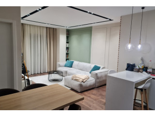 Apartament Me Qera 1+1 Ne Misto Mame (