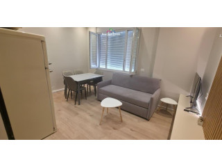 Apartament me Qera 1+1 ne Qender (ID